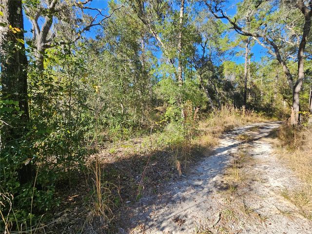 BERRYHILL DRIVE, Webster, FL 33597