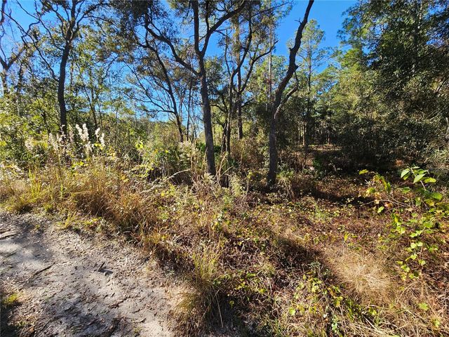 BERRYHILL DRIVE, Webster, FL 33597