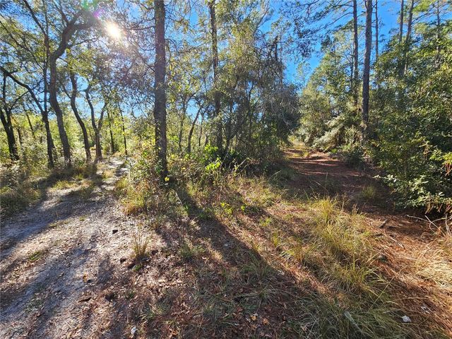 BERRYHILL DRIVE, Webster, FL 33597