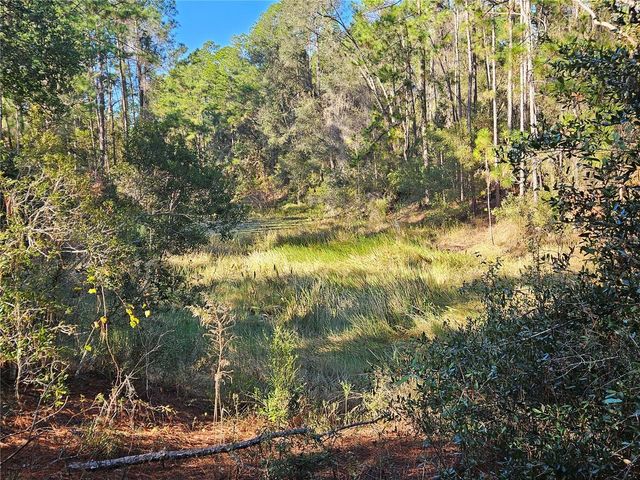 BERRYHILL DRIVE, Webster, FL 33597