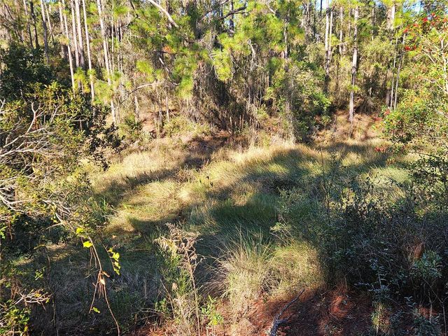 BERRYHILL DRIVE, Webster, FL 33597