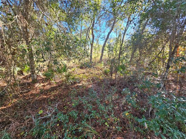 BERRYHILL DRIVE, Webster, FL 33597