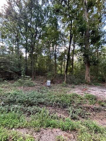 0 County Road 3812, Cleveland, TX 77327