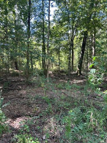 0 County Road 3812, Cleveland, TX 77327