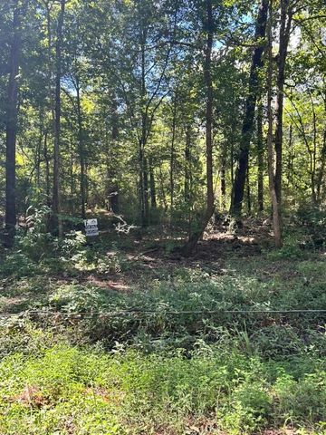0 County Road 3812, Cleveland, TX 77327