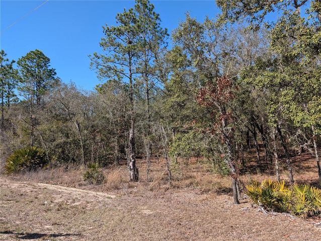 SW 81ST STREET, Dunnellon, FL 34432