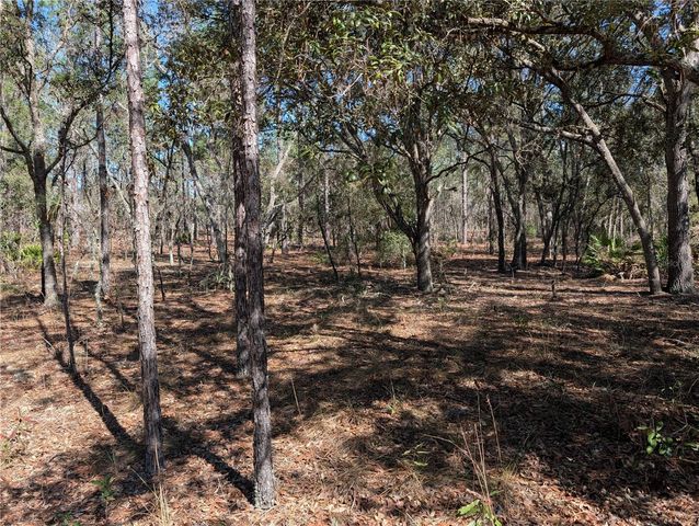 SW 81ST STREET, Dunnellon, FL 34432