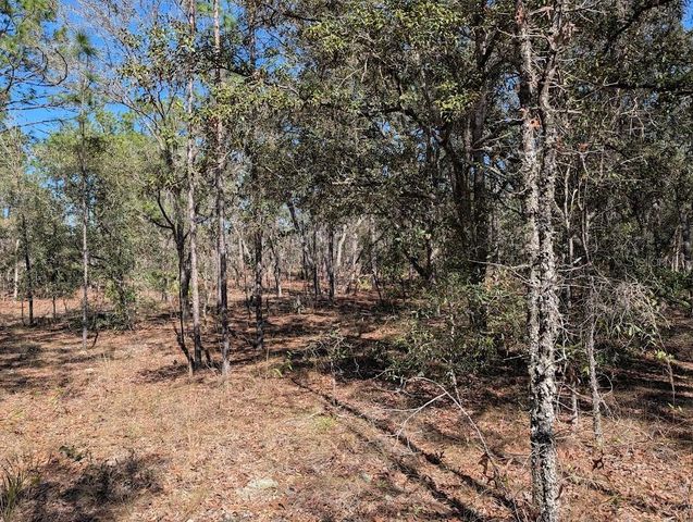 SW 81ST STREET, Dunnellon, FL 34432