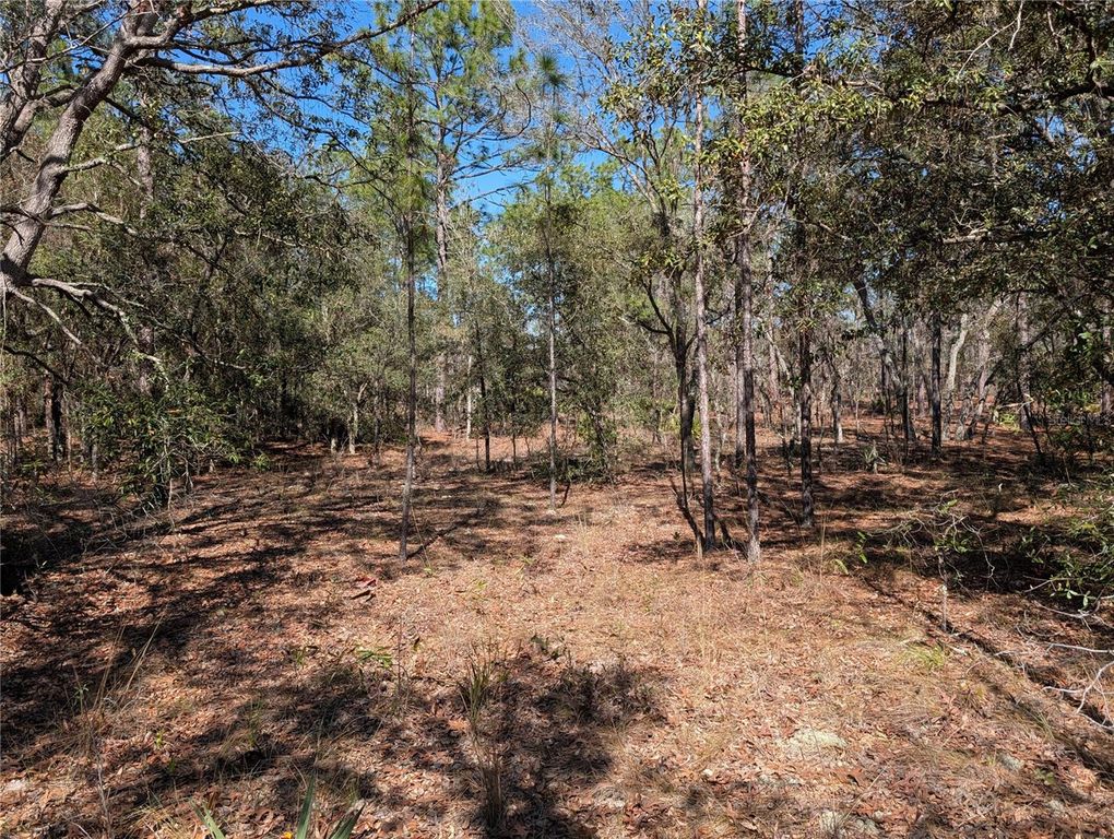 Image 1 of property listing at SW 81ST STREET, Dunnellon, FL 34432