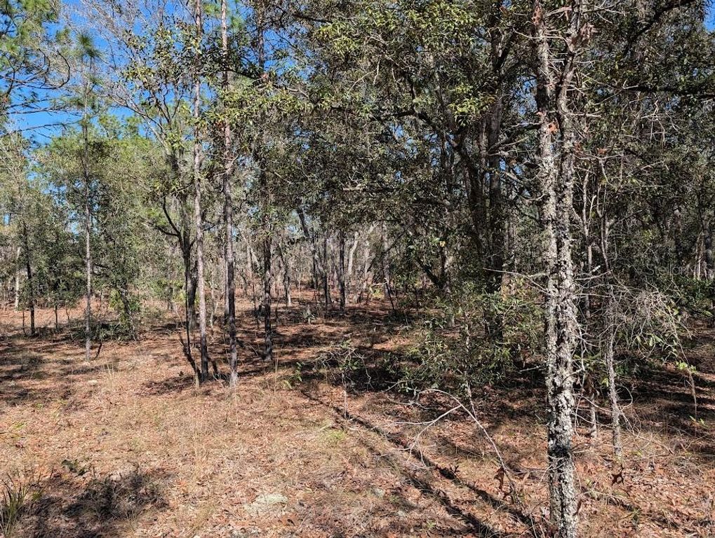 Image 10 of property listing at SW 81ST STREET, Dunnellon, FL 34432