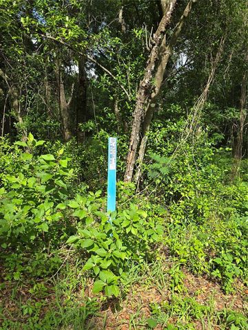 TBD S ST CLAIR STREET, Wildwood, FL 34785