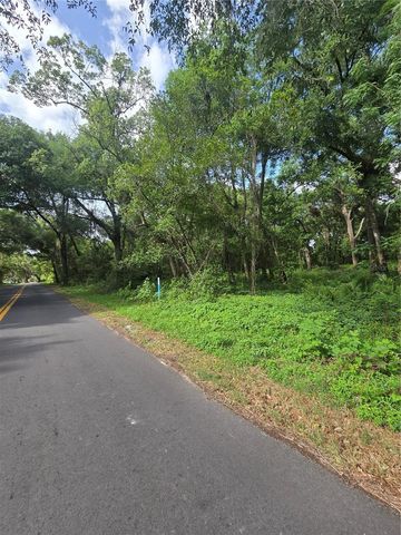 TBD S ST CLAIR STREET, Wildwood, FL 34785