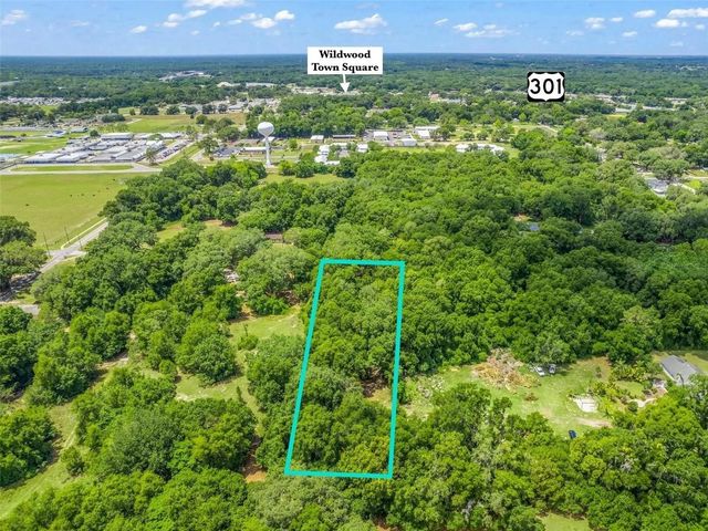 TBD S ST CLAIR STREET, Wildwood, FL 34785