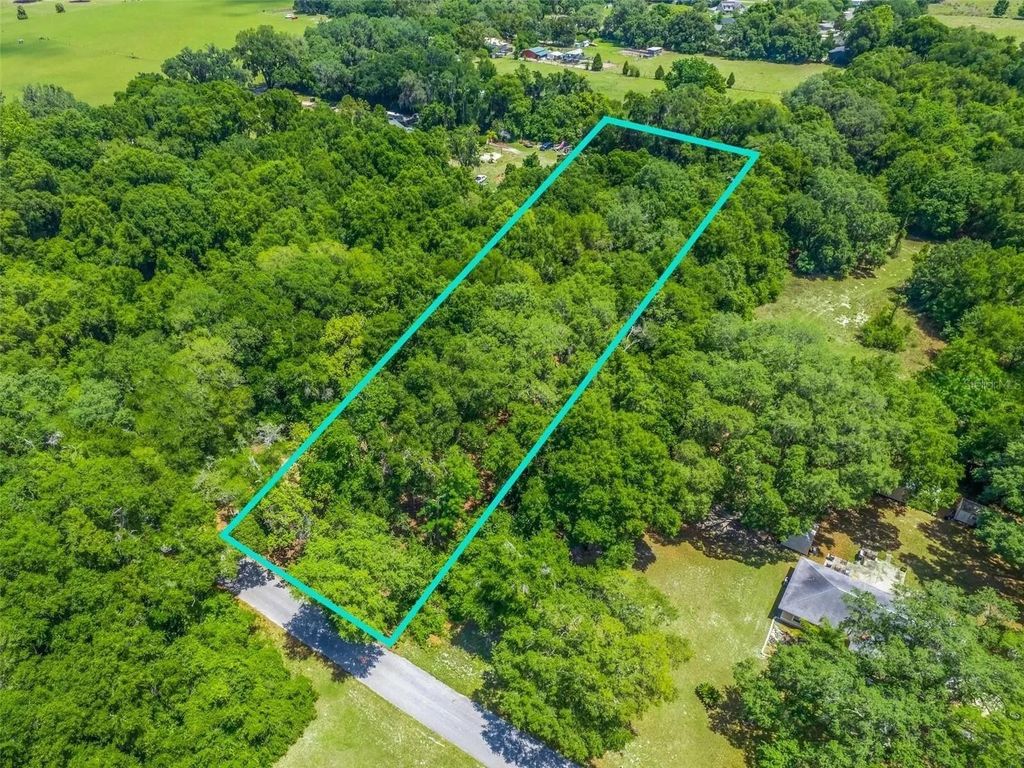 TBD S ST CLAIR STREET, Wildwood, FL 34785