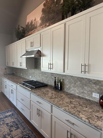 401 Brena CV, Liberty Hill, TX 78642