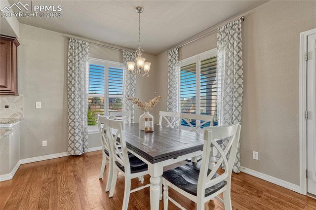 9167 Selkirk Place, Colorado Springs, CO 80924