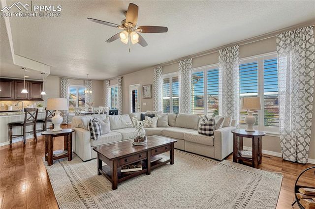 9167 Selkirk Place, Colorado Springs, CO 80924