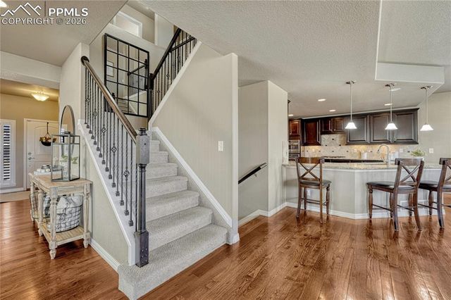 9167 Selkirk Place, Colorado Springs, CO 80924