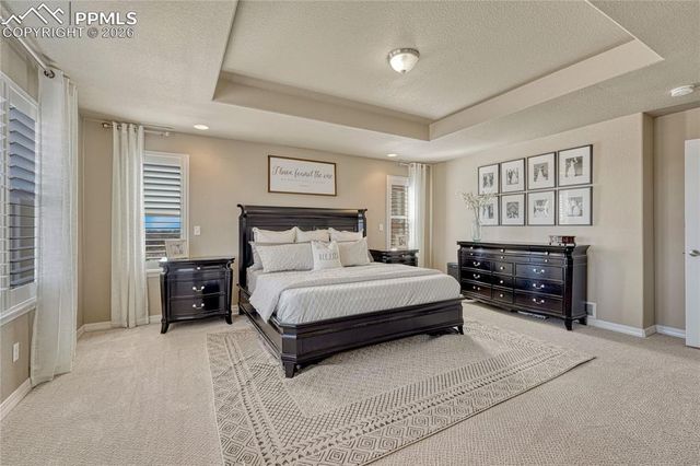 9167 Selkirk Place, Colorado Springs, CO 80924