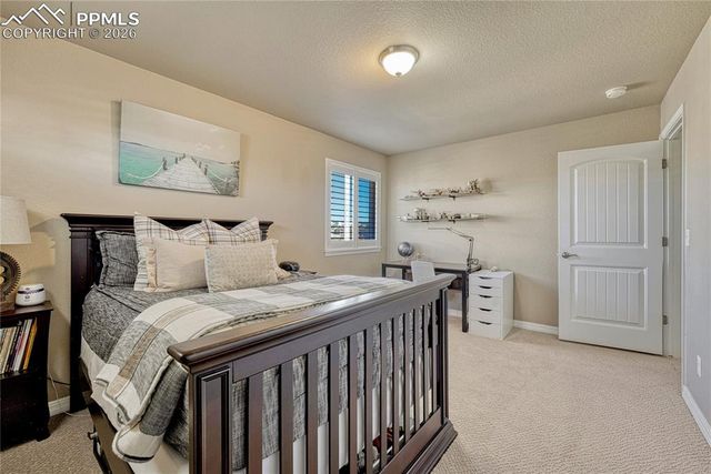 9167 Selkirk Place, Colorado Springs, CO 80924