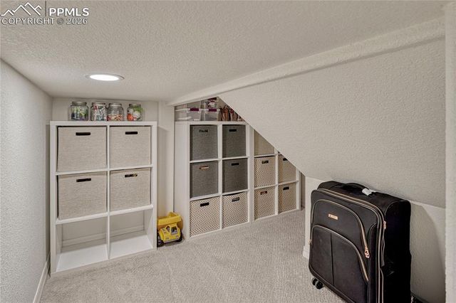 9167 Selkirk Place, Colorado Springs, CO 80924