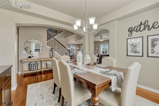 9167 Selkirk Place, Colorado Springs, CO 80924