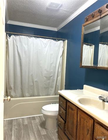 317 Marty Drive, Desloge, MO 63601