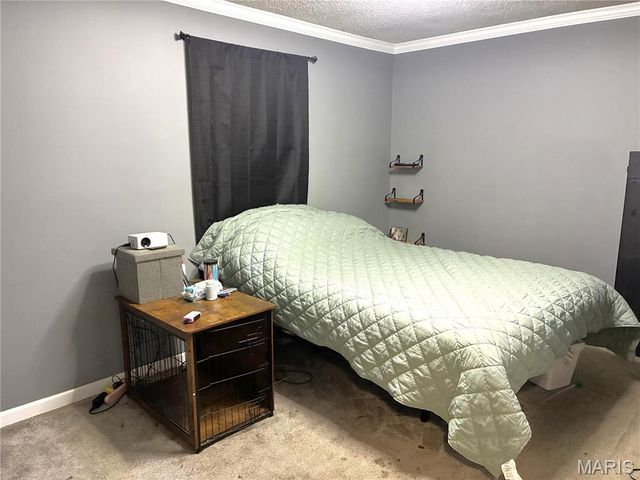 317 Marty Drive, Desloge, MO 63601