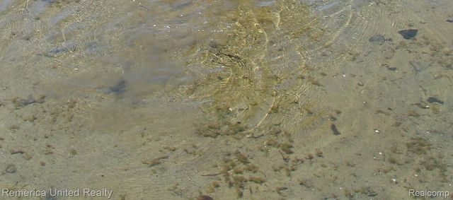 1491 Division Drive, Hartland Township, MI 48353