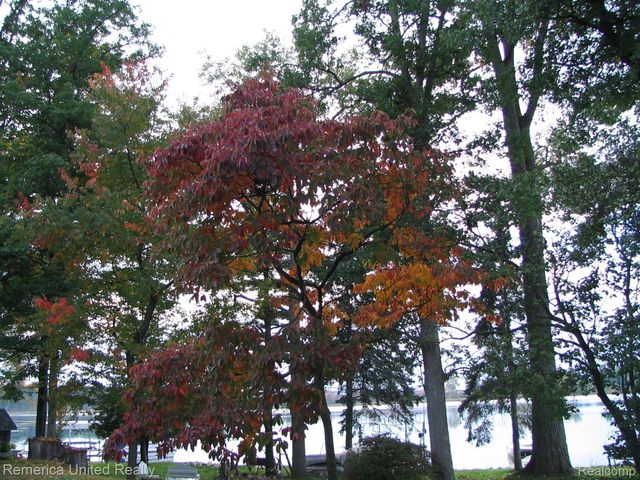 1491 Division Drive, Hartland Township, MI 48353