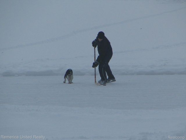 1491 Division Drive, Hartland Township, MI 48353