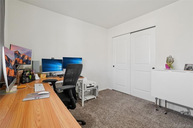 1583 Bright Shore Lane, Severance, CO 80550