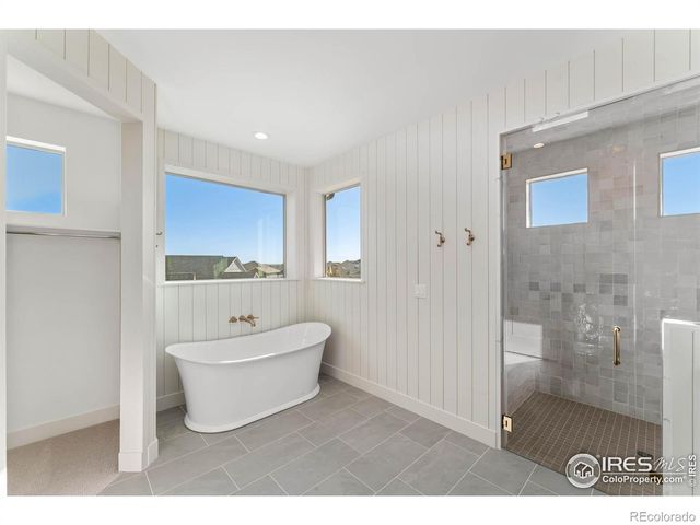 136 Blue Fortune Drive, Windsor, CO 80550