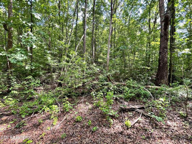 Lot 5 Raby Hollow Road, Kingston, TN 37763