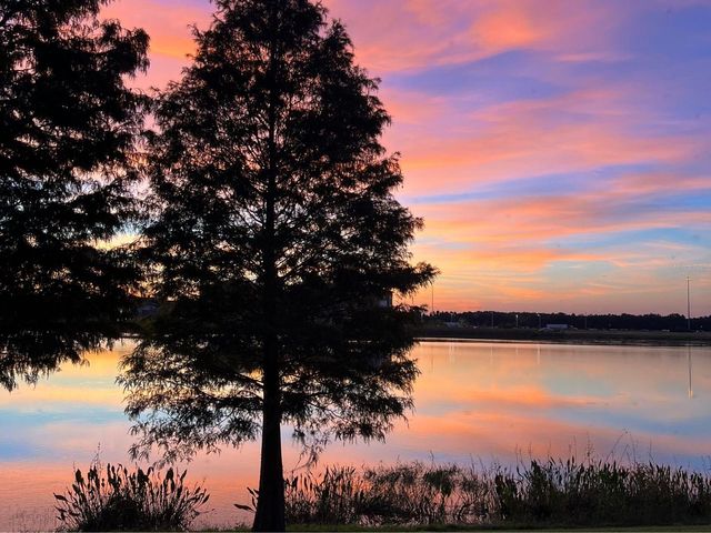 4861 WANDERING WAY, Wesley Chapel, FL 33544