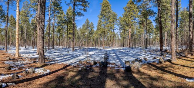1460 S ADAIR Drive 6, Pinetop, AZ 85935