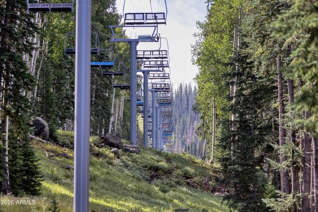 1460 S ADAIR Drive 6, Pinetop, AZ 85935