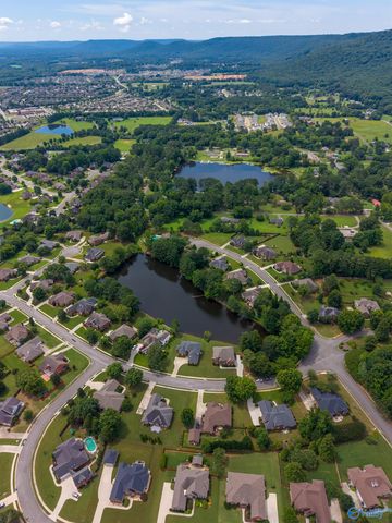 4410 Hidden Lake Drive, Owens Cross Roads, AL 35763