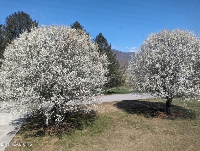 113 Thacker Drive, Lafollette, TN 37766