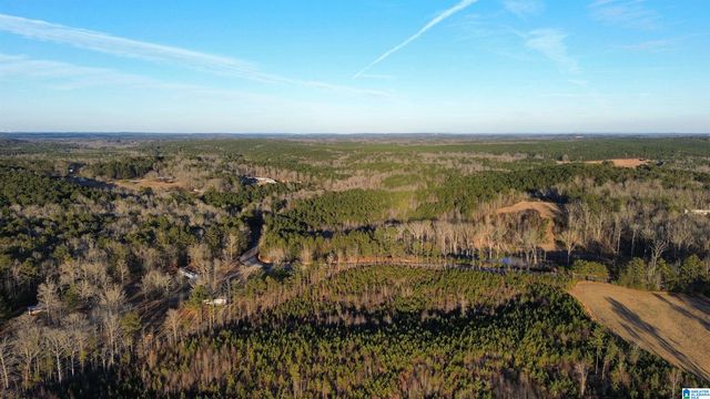 18924 BAMA ROCK GARDEN ROAD, Vance, AL 35490