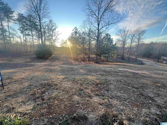 18924 BAMA ROCK GARDEN ROAD, Vance, AL 35490