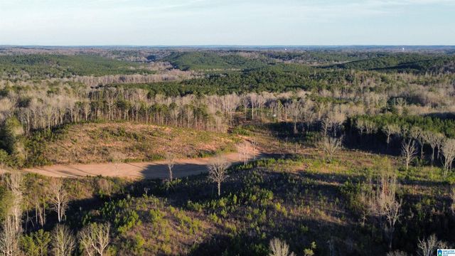 18924 BAMA ROCK GARDEN ROAD, Vance, AL 35490