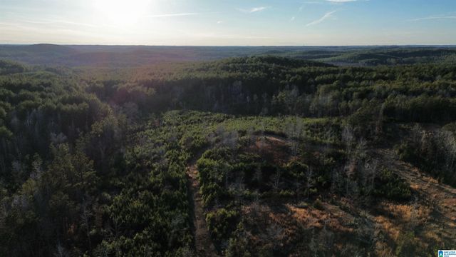 18924 BAMA ROCK GARDEN ROAD, Vance, AL 35490