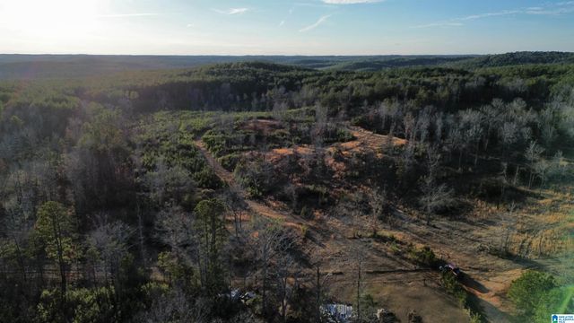 18924 BAMA ROCK GARDEN ROAD, Vance, AL 35490