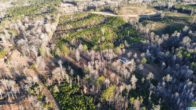 18924 BAMA ROCK GARDEN ROAD, Vance, AL 35490