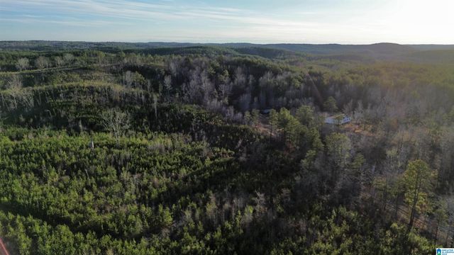 18924 BAMA ROCK GARDEN ROAD, Vance, AL 35490