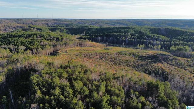 18924 BAMA ROCK GARDEN ROAD, Vance, AL 35490