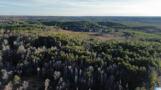 18924 BAMA ROCK GARDEN ROAD, Vance, AL 35490