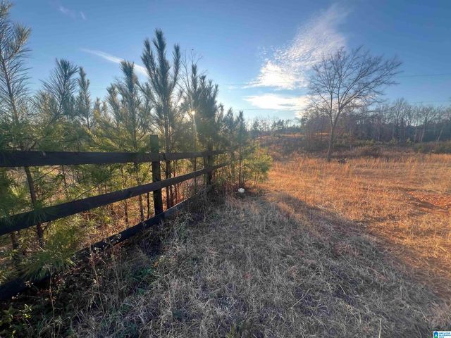 18924 BAMA ROCK GARDEN ROAD, Vance, AL 35490