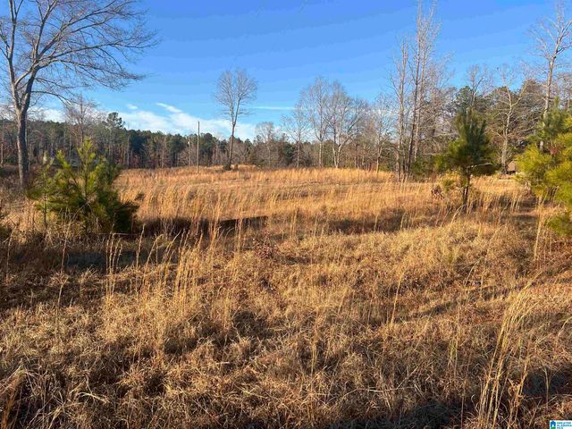 18924 BAMA ROCK GARDEN ROAD, Vance, AL 35490